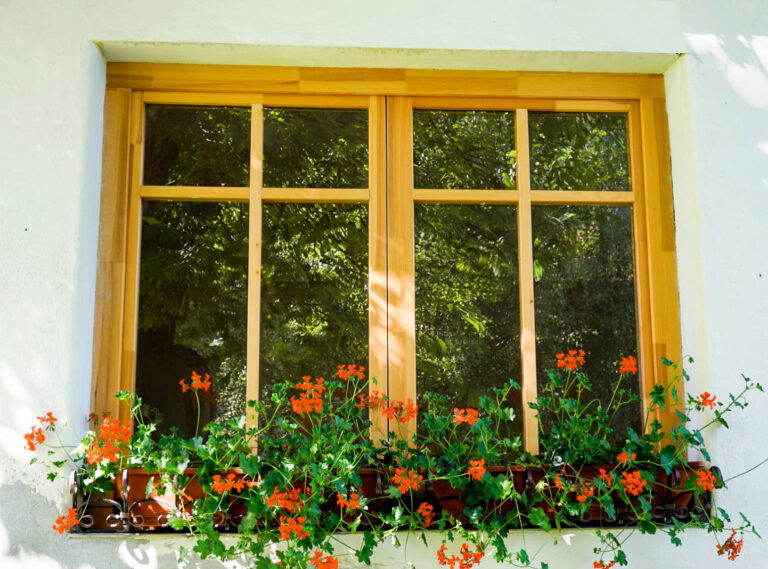 F107AA25 B912 47CD A68C 0D38539F0FC5 768x569